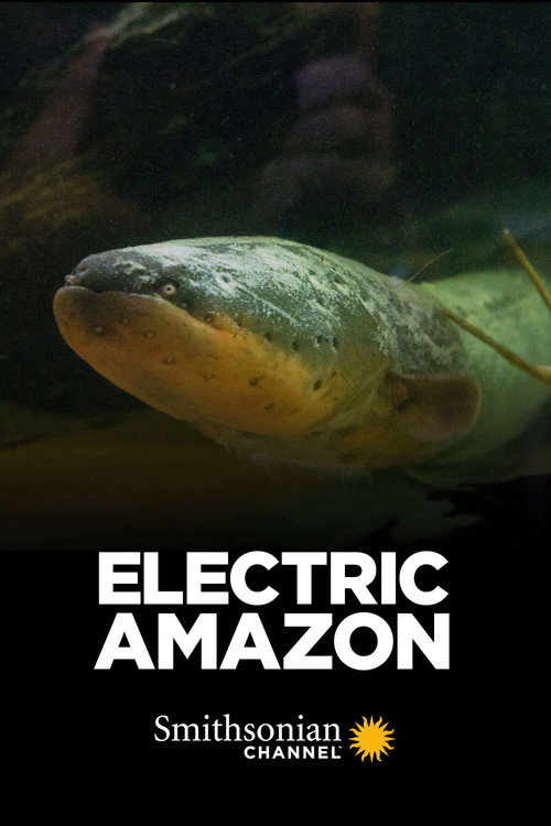 Movie poster for Electric Amazon (2015)