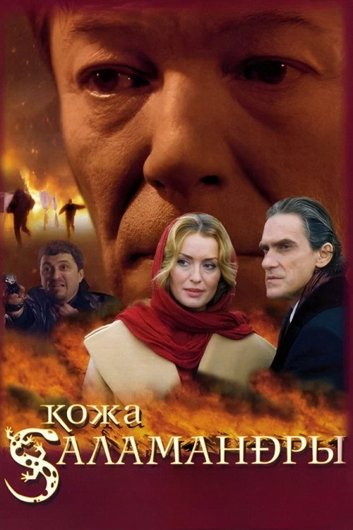 Movie poster for Salamander Skin (2004)