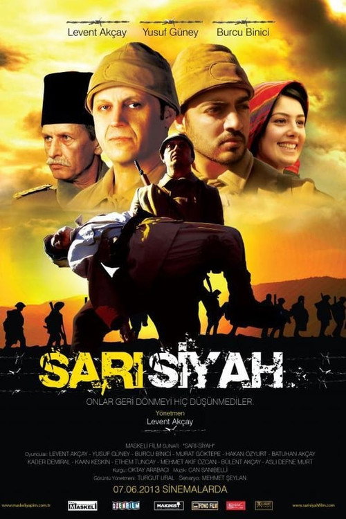 Movie poster for Sarı Siyah (2013)