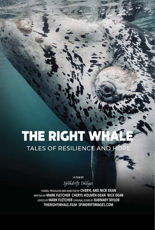 Movie poster for The Right Whale (2026)