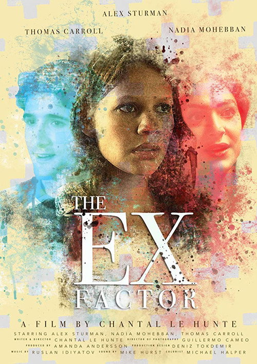 Movie poster for The Ex Factor (2016)