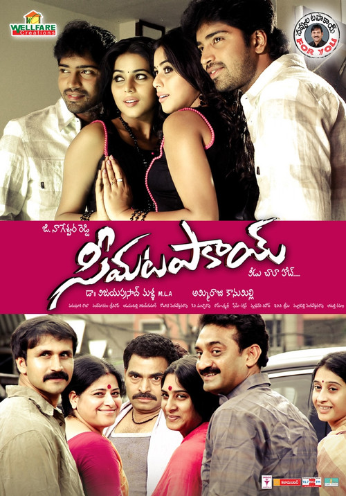 Movie poster for Seema Tapakai (2011)