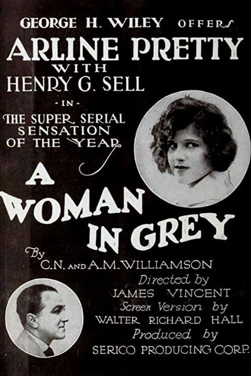 Movie poster for A Woman in Grey (1920)
