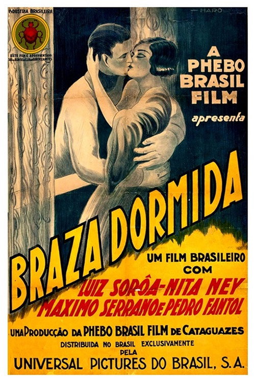 Movie poster for Dormant Embers (1928)