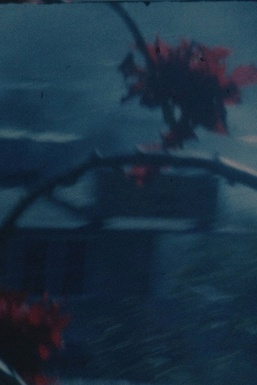 Movie poster for Lazimpat (2015)