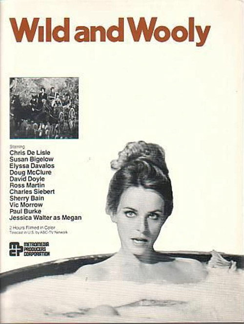 Movie poster for Wild and Wooly (1978)