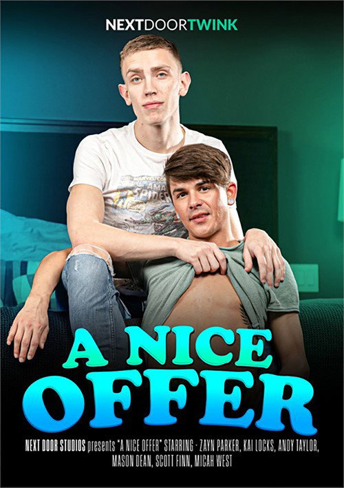 Movie poster for A Nice Offer (2024)