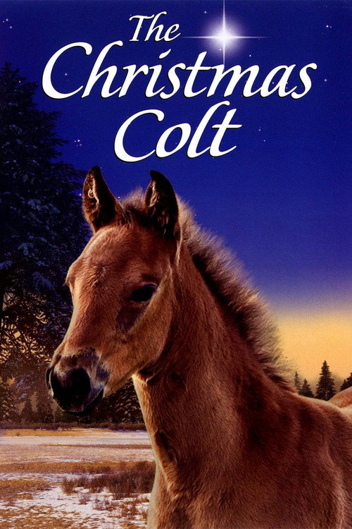 Movie poster for The Christmas Colt (2013)