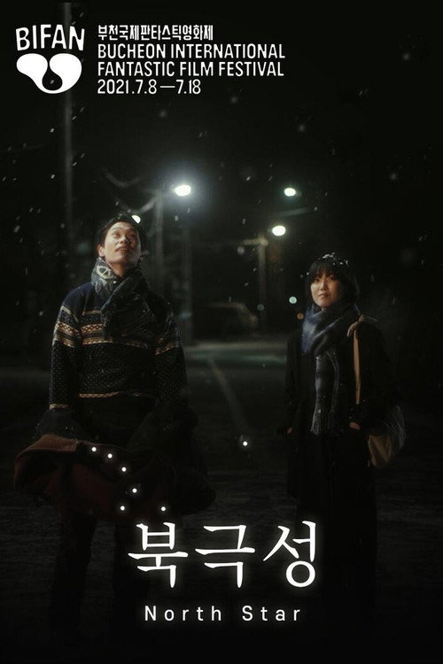 Movie poster for North Star (2021)