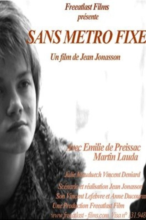 Movie poster for Sans métro fixe (2013)
