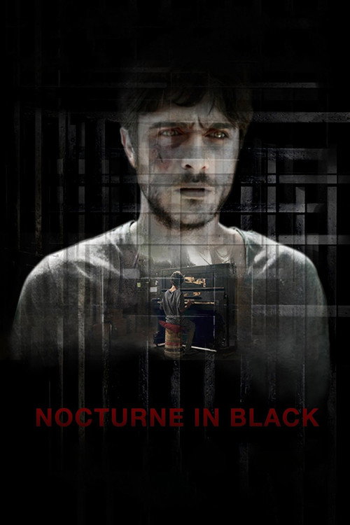 Movie poster for Nocturne in Black (2016)