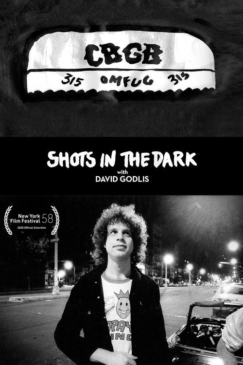 Movie poster for Shots in the Dark with David Godlis (2020)