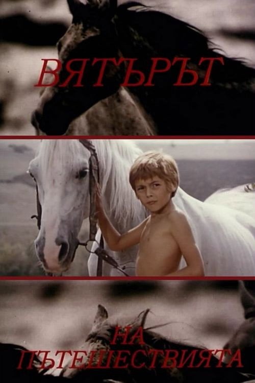 Movie poster for Tail Wind (1972)