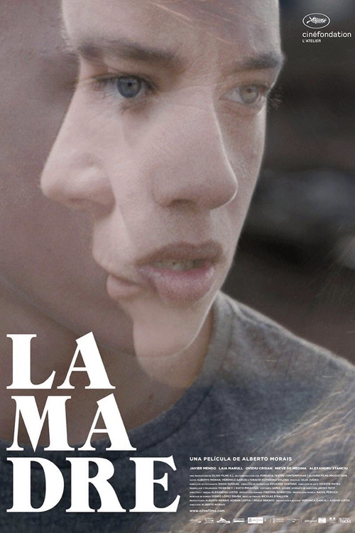 Movie poster for La madre (2016)