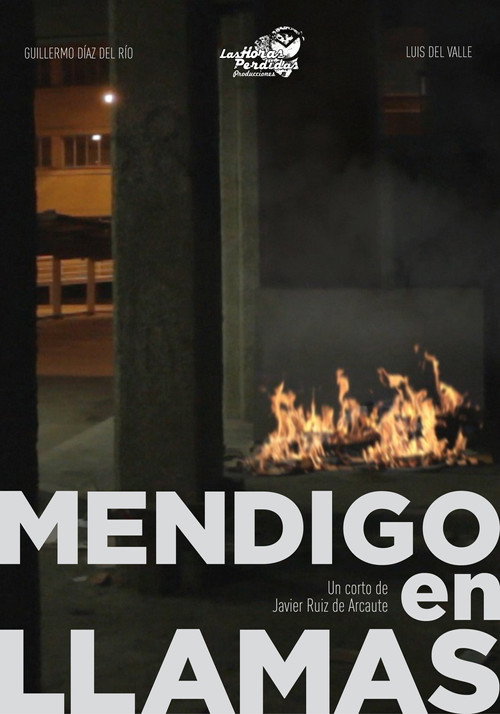 Movie poster for Mendigo en Llamas (2011)