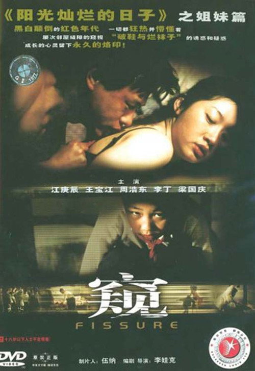 Movie poster for The Crack (2002)