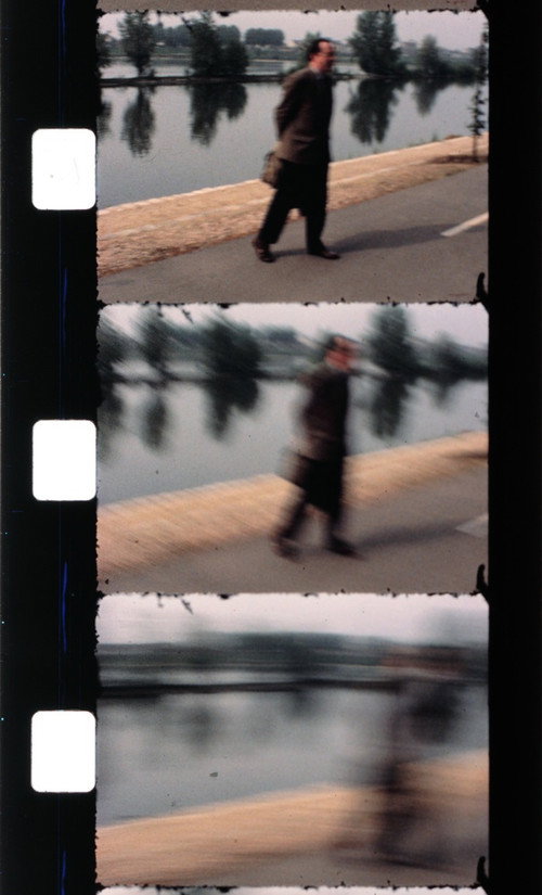 Movie poster for Effeuiller l'acanthe (1987)