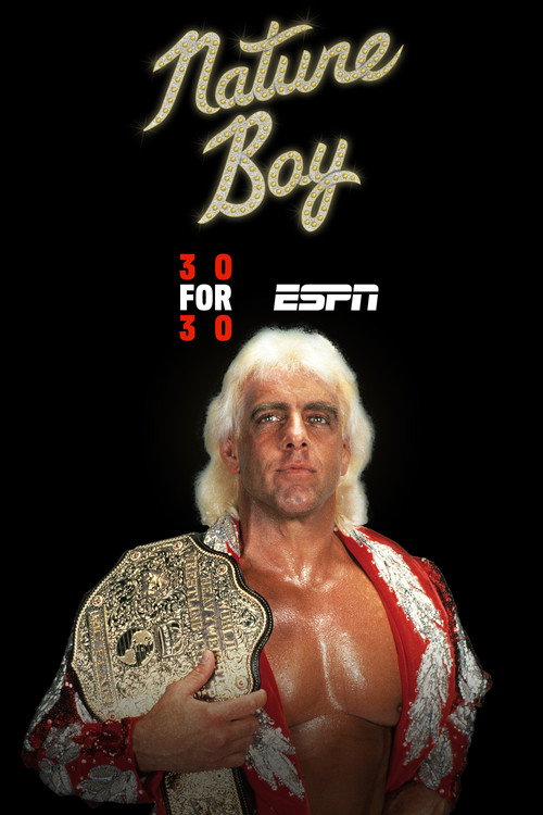 Movie poster for Nature Boy (2017)
