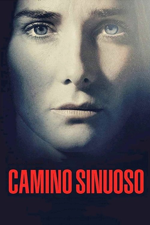 Movie poster for Sinuous Road (2018)