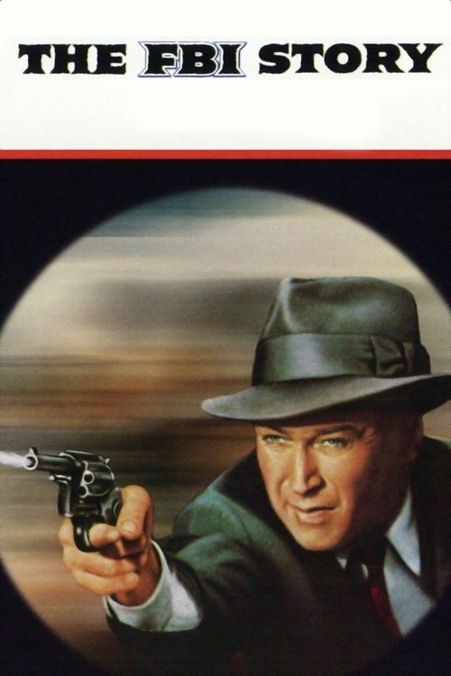Movie poster for The FBI Story (1959)