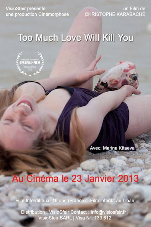 Movie poster for Too Much Love Will Kill You (2013)