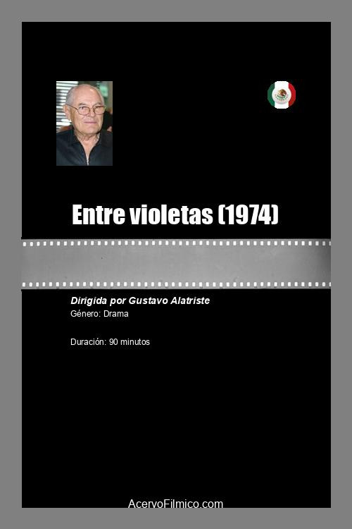 Movie poster for Entre violetas (1974)