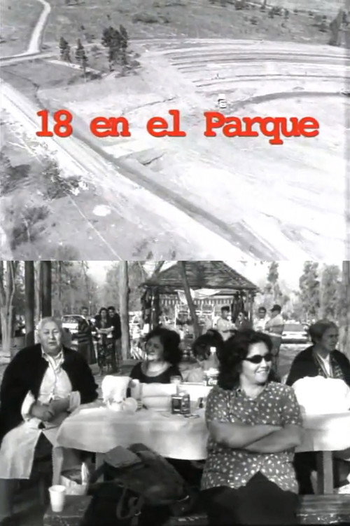 Movie poster for 18 en el parque (1999)