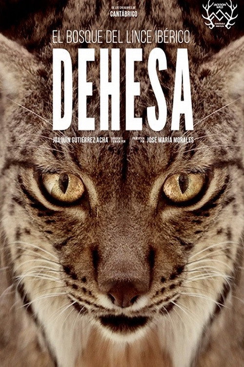 Movie poster for Dehesa: The Forest of the Iberian Lynx (2020)