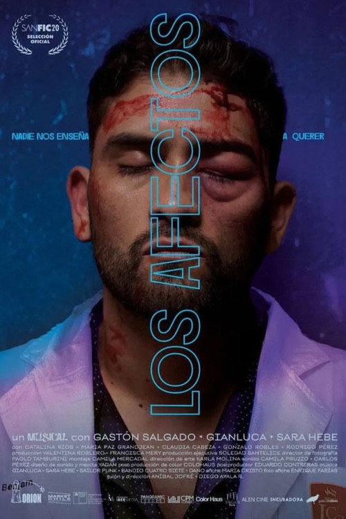 Movie poster for Los afectos (2024)