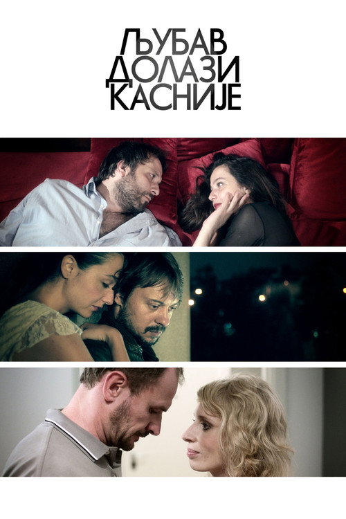 Movie poster for Love Comes After (2013)