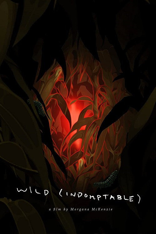 Movie poster for Wild (2018)