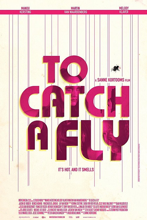 Movie poster for To Catch a Fly (2017)