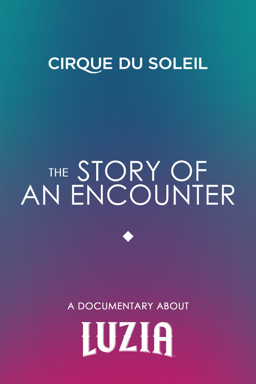 Movie poster for The Story Of An Encounter (2016)