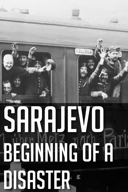 Movie poster for Sarajevo: Beginning of a Disaster (2014)