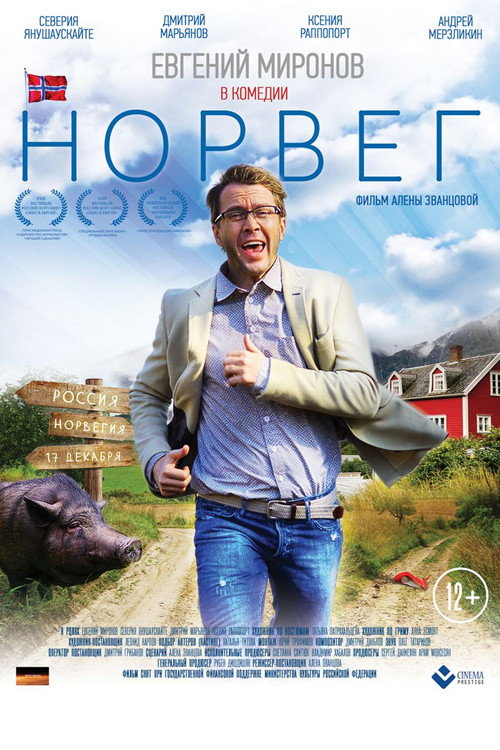 Movie poster for The Norseman (2015)