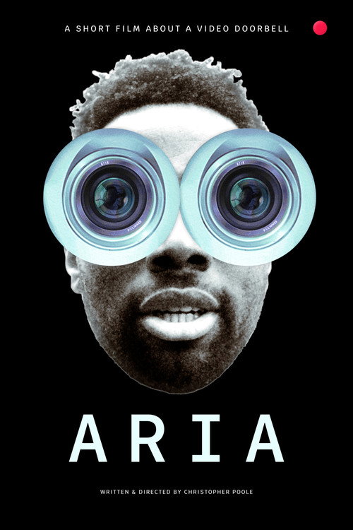 Movie poster for Aria (2021)