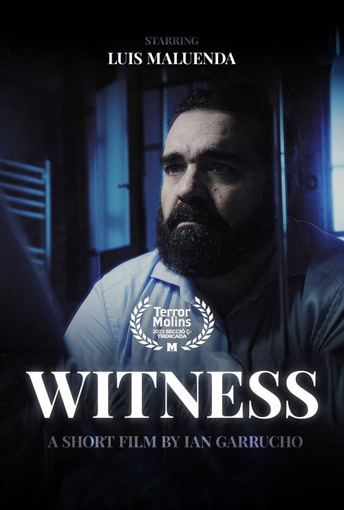 Movie poster for Witness (2022)