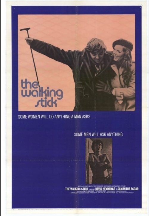 Movie poster for The Walking Stick (1970)