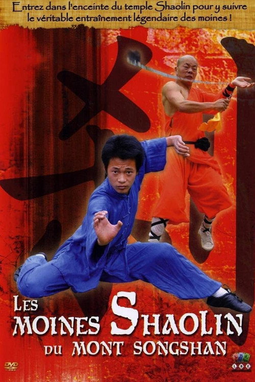 Movie poster for Les moines Shaolin du Mont Songshan (2007)