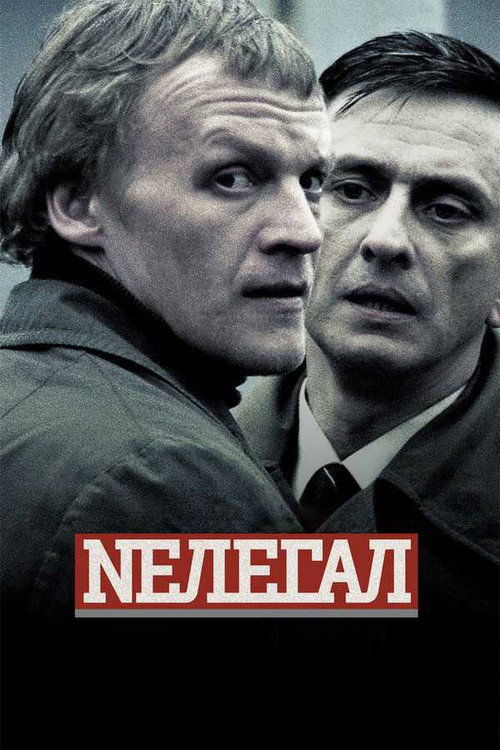 Movie poster for Illegal (2006)