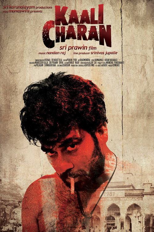 Movie poster for Kaali Charan (2015)