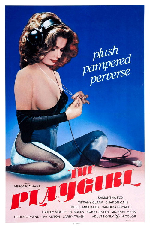 Movie poster for The Playgirl (1983)
