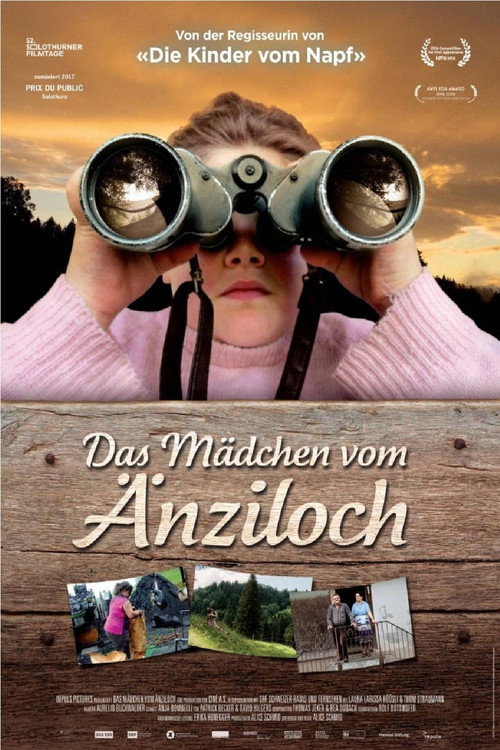 Movie poster for Das Mädchen vom Änziloch (2016)