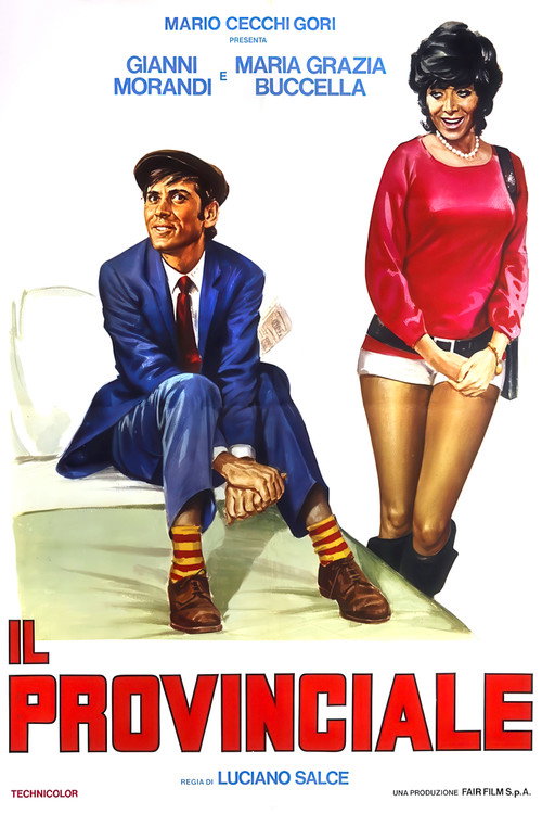 Movie poster for Il provinciale (1971)