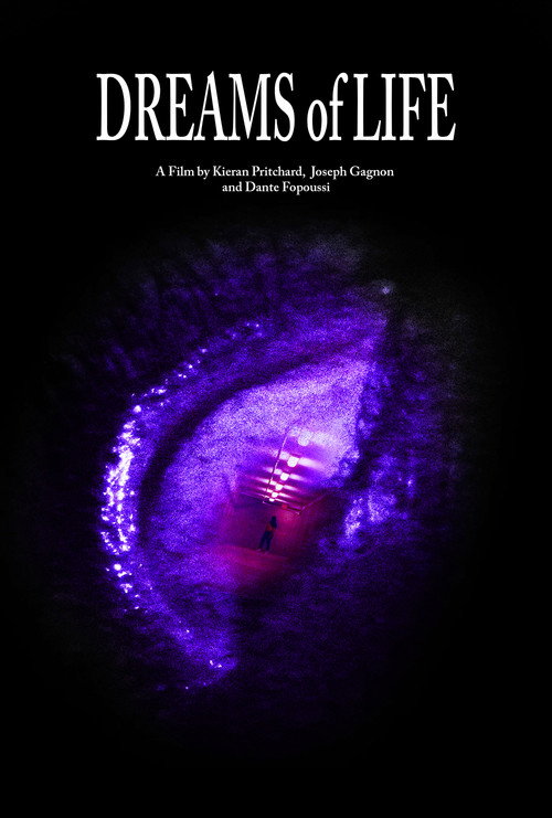 Movie poster for Dreams of Life (2026)