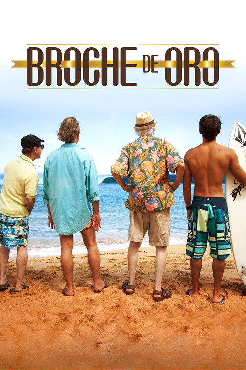 Movie poster for Broche de oro (2012)