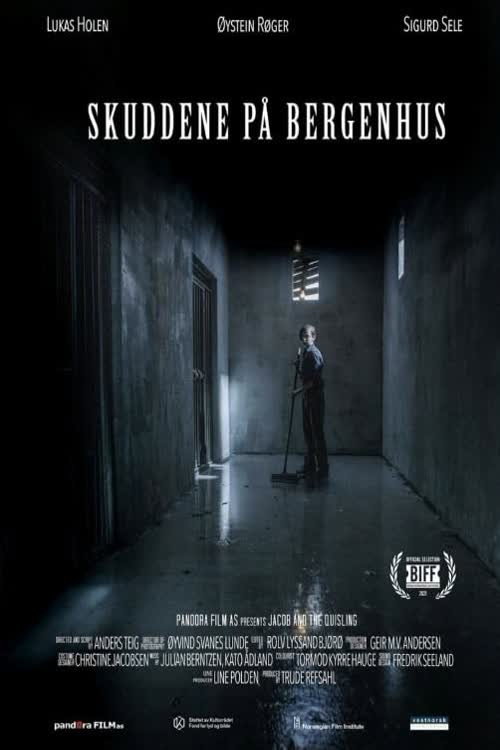 Movie poster for The Shots at Bergenhus (2021)