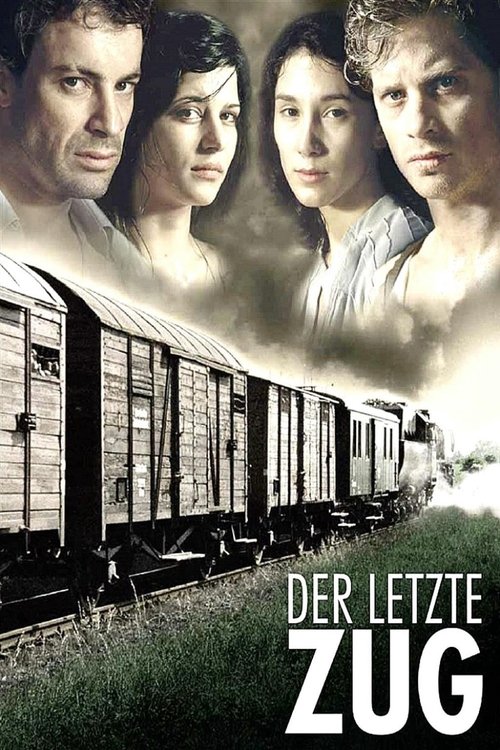 Movie poster for The Last Train (2006)