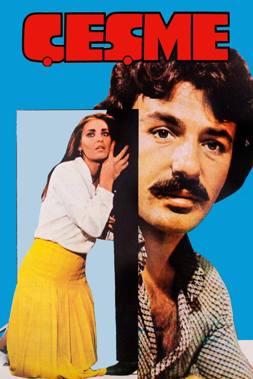 Movie poster for Çeşme (1977)