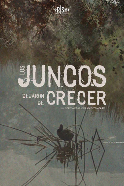 Movie poster for The Reeds Stopped Growing (2026)